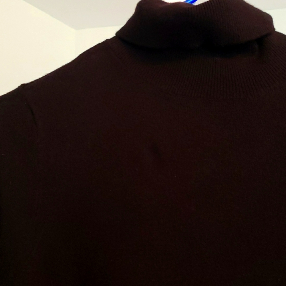 Almost new Express Turtle neck dress